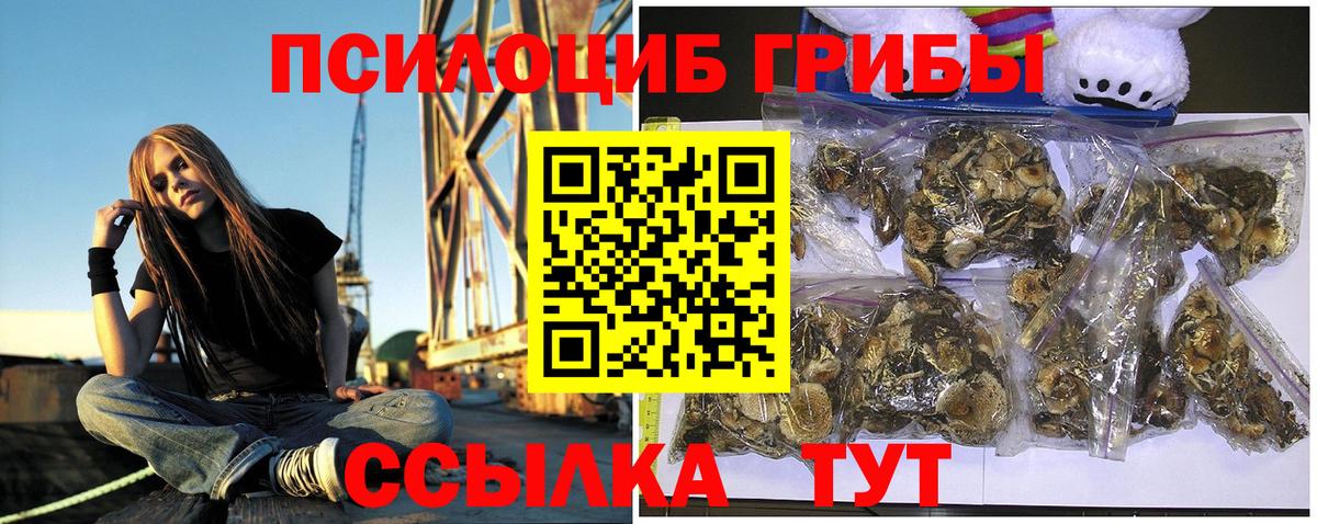 Галлюциногенные грибы Cubensis  наркота  Красноярск  Галлюциногенные грибы мицелий  Вход с VPN 